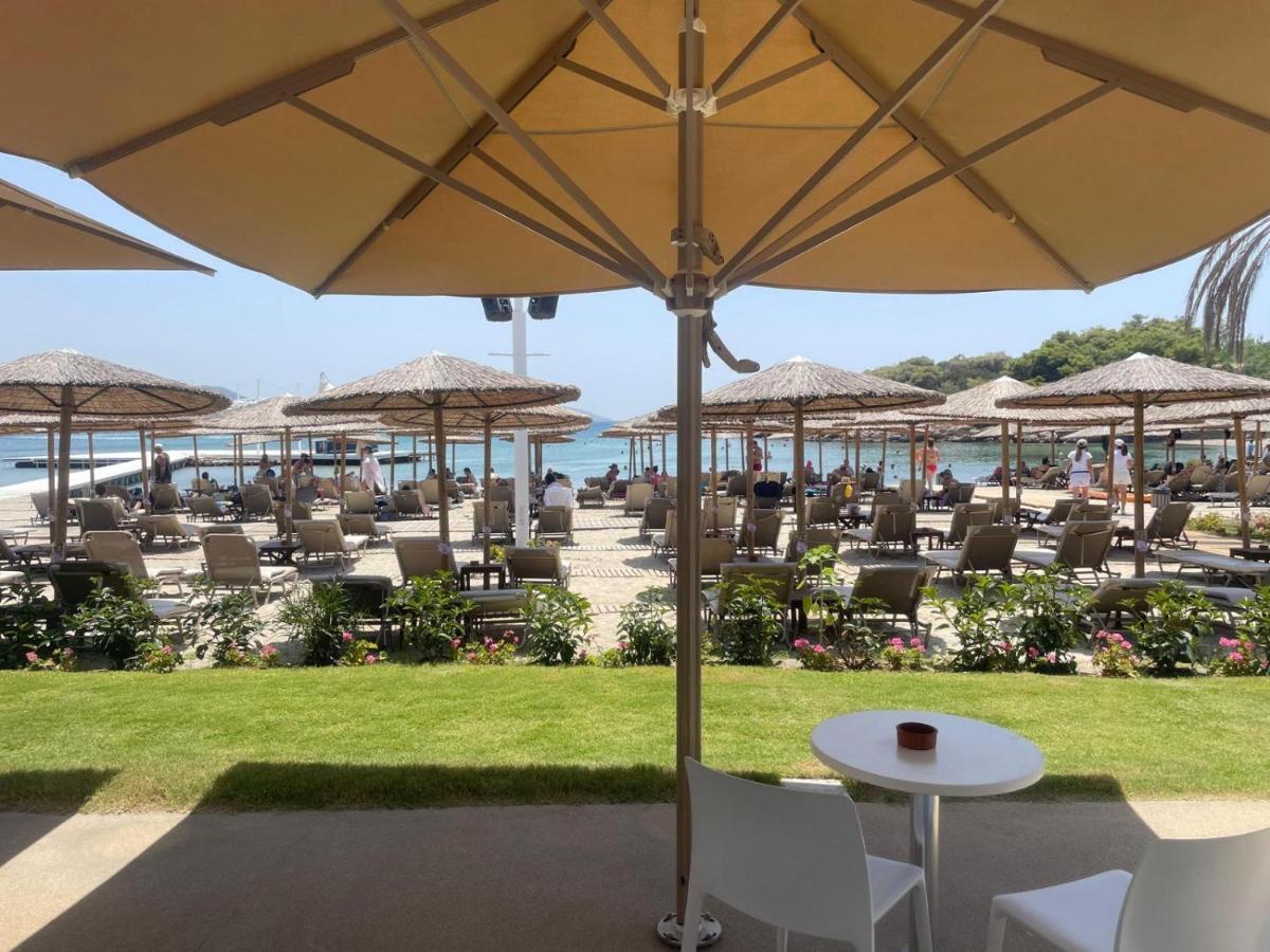 Eagles Nest Villa Athenian Riviera In Aghia Marina Near Lagonisi, Next To The Beach Close To Athens Airport Agia Marina  Экстерьер фото